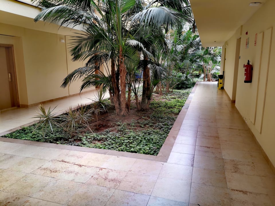 Sonstiges Zafiro Mallorca