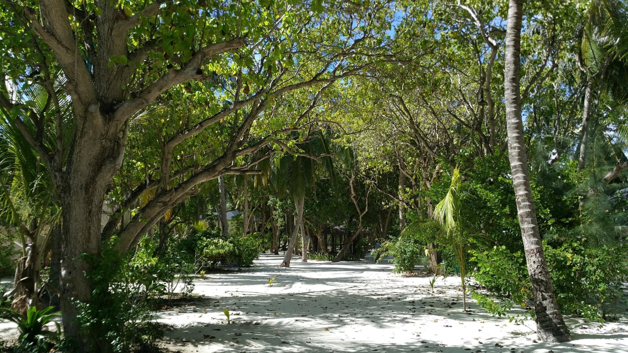 Inselinnere  Summer Island Maldives