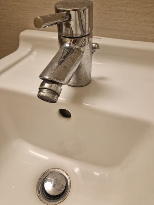 Zimmer blau punta reina