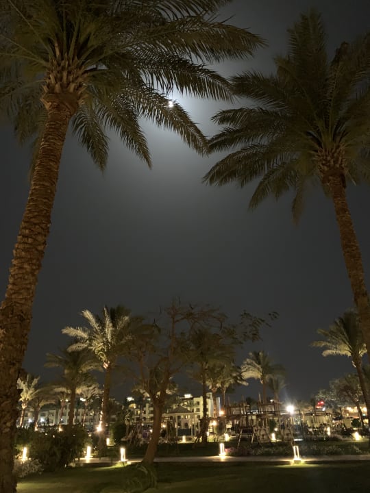 Außenansicht Pickalbatros Dana Beach Resort - Hurghada