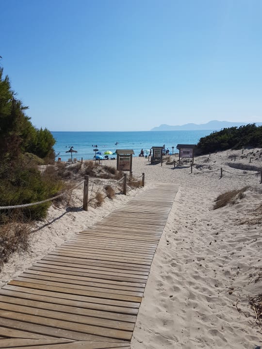 Strand Iberostar Selection Albufera Park