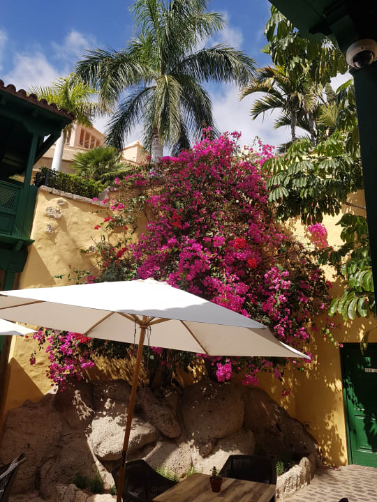 Gartenanlage Hotel Riu Arecas - Adults only