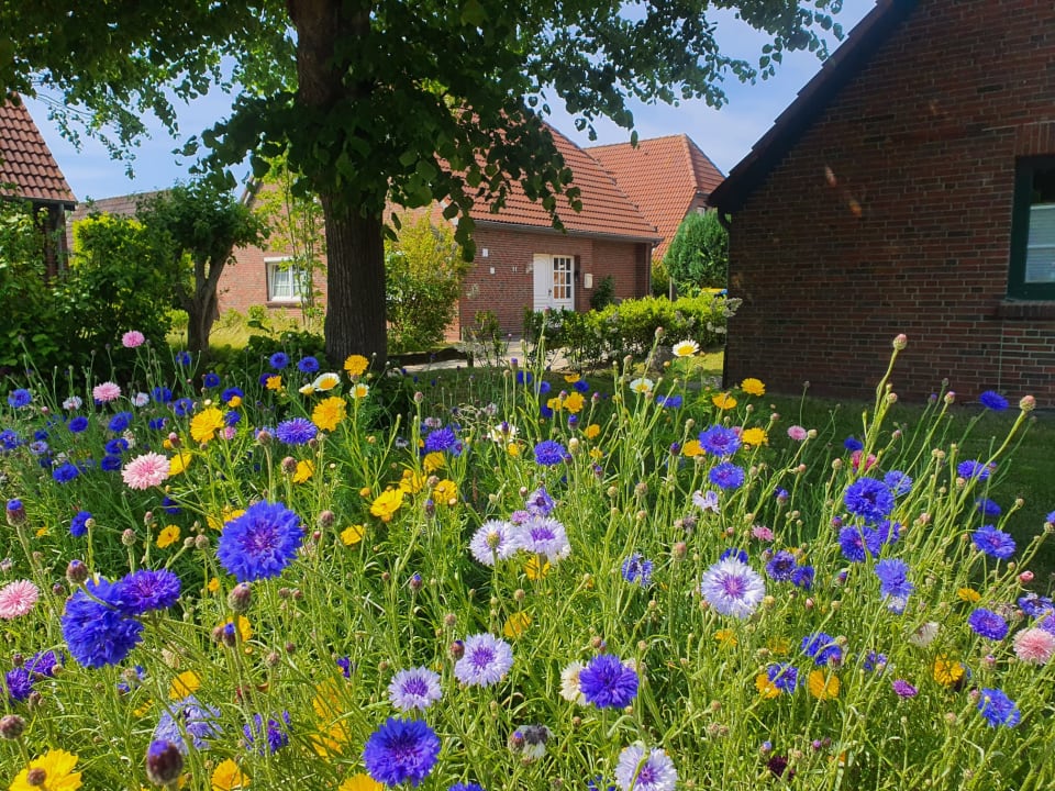 Außenansicht Ferienwohnung Zum Deichbären
