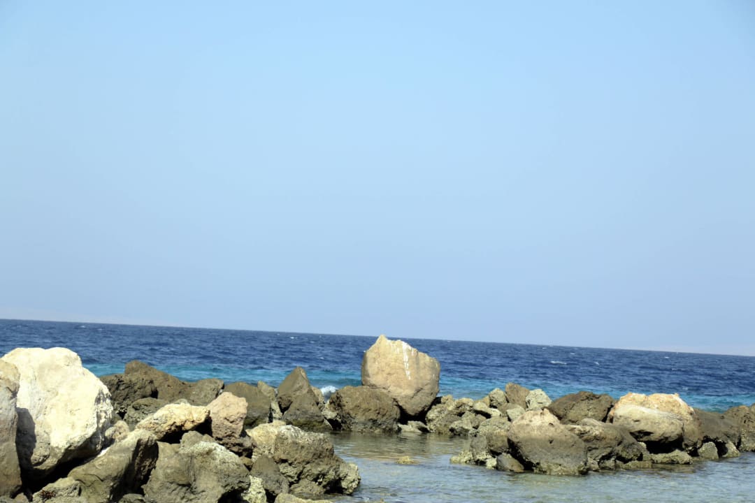 Fotos Hotelstrand/Hausriff Pickalbatros Citadel Resort