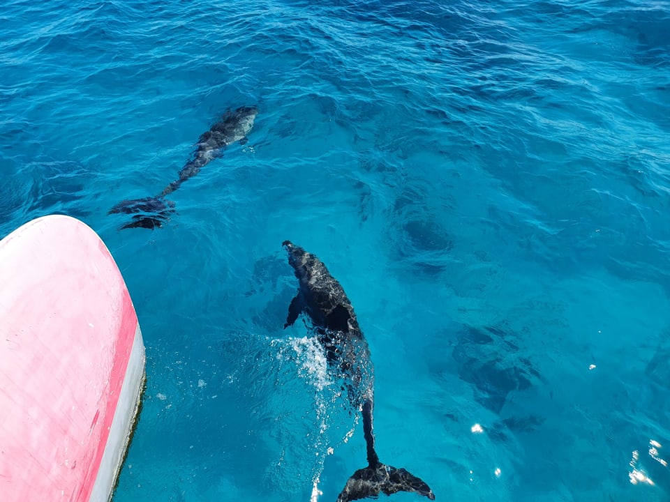 Sport & Freizeit Cleopatra Luxury Resort Makadi Bay