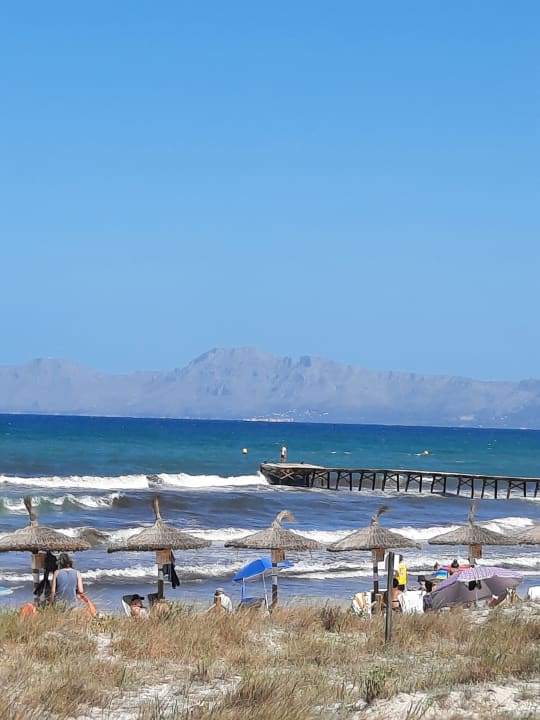 Strand Grupotel Alcudia Pins