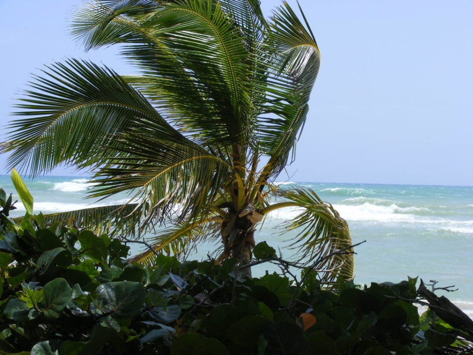 So muss das Paradies aussehen!? Grand Sirenis Punta Cana Resort & Aquagames