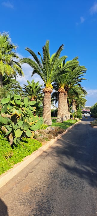 Gartenanlage Anissa Beach & Village