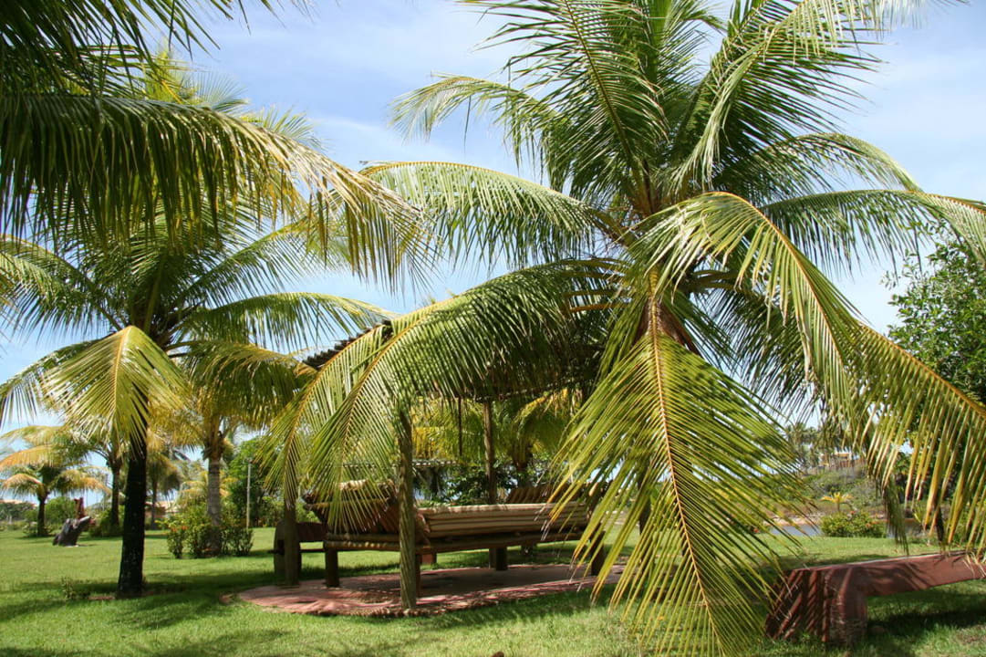 Palmen, soweit das Auge reicht Hotel Estrela do Mar Resort