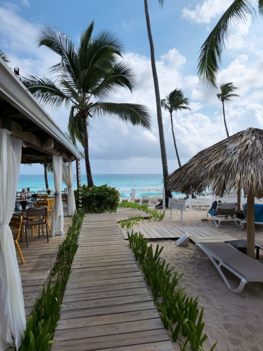 Strand Catalonia Royal La Romana - Adults only