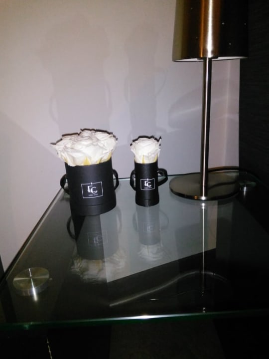 Zimmer Hotel Fackelgarten