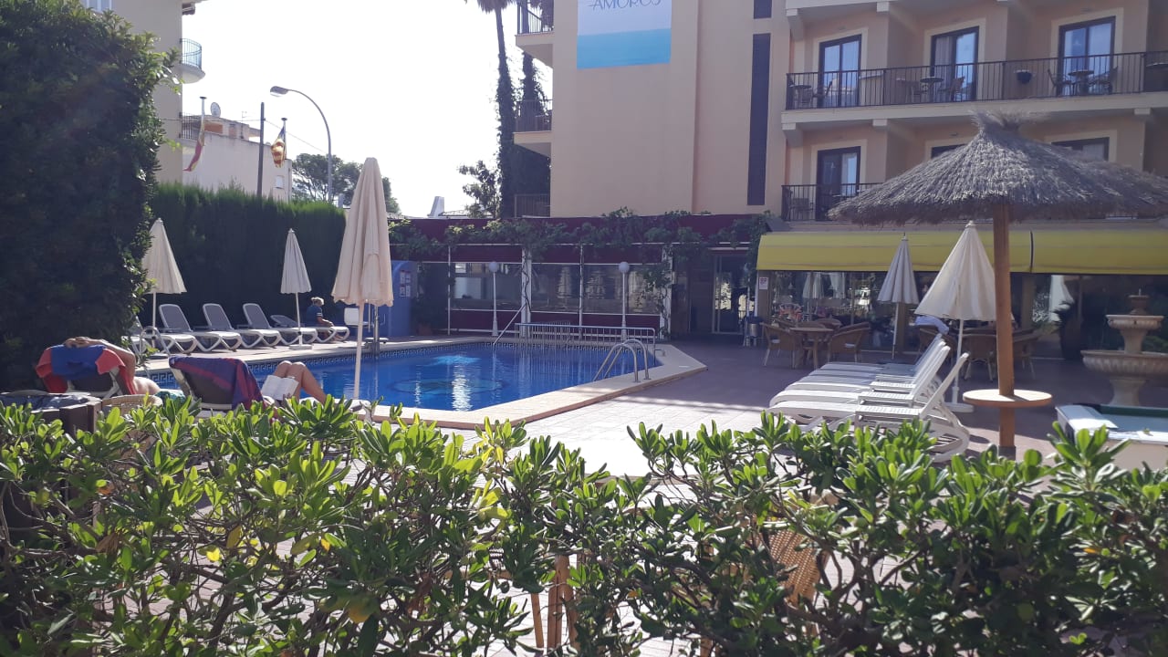 Pool Hotel Amoros