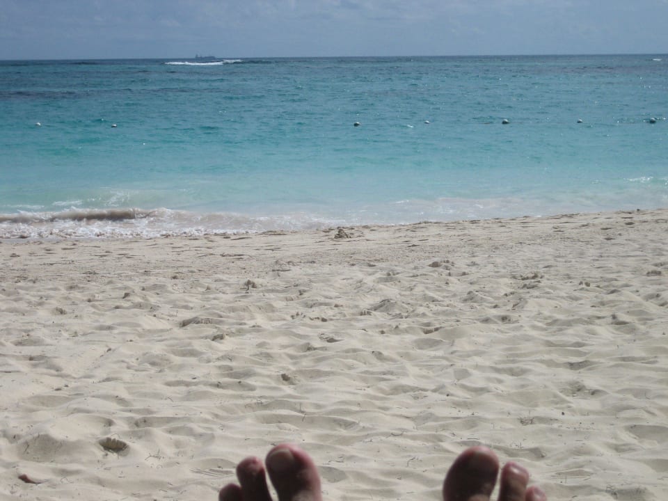 Blick von der Liege Grand Palladium Punta Cana Resort & Spa