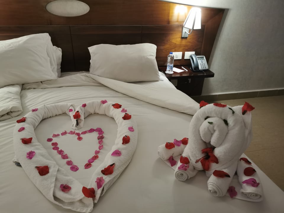 Zimmer Stella Garden Resort & Spa, Makadi Bay