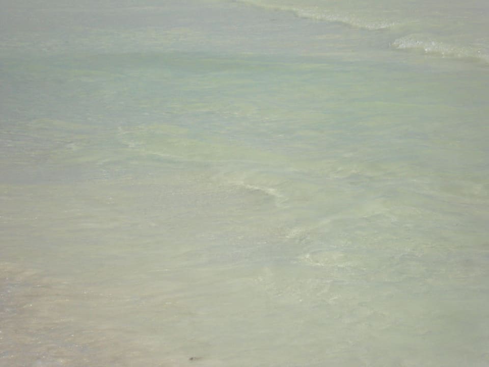 Hotel Catalonia Playa Maroma Catalonia Playa Maroma