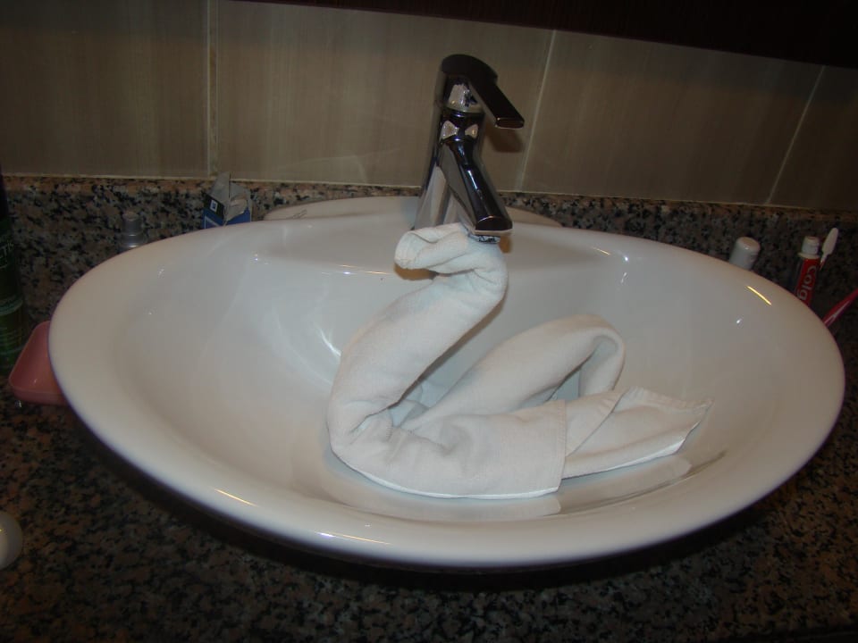 Wie kommt der da rein  Side Alegria Hotel & Spa - Adults only +16