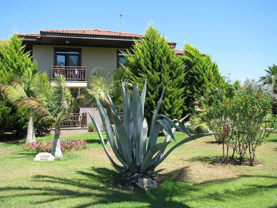 Hotelanlage TUI BLUE Palm Garden