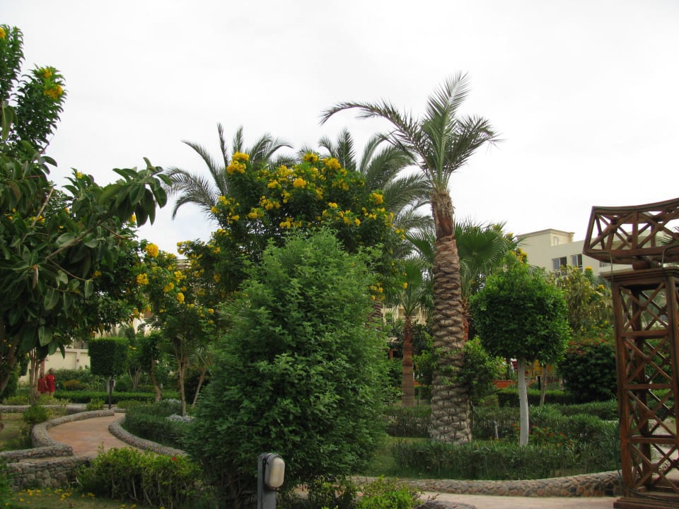 Райские кущи Riviera Aqua Park Resort