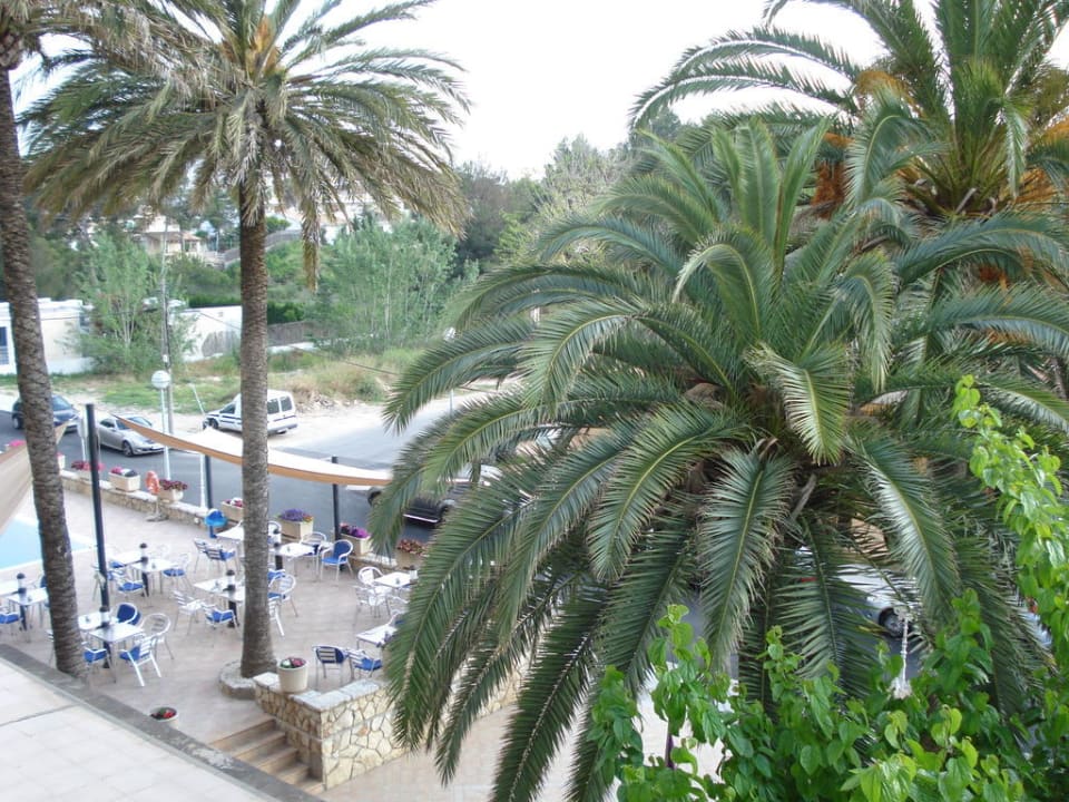 Ausblick vom Zimmer Hotel Boreal