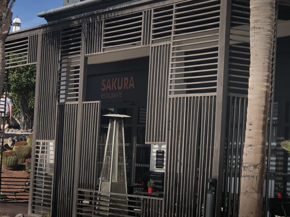 Gastro H10 Rubicón Horizons Collection