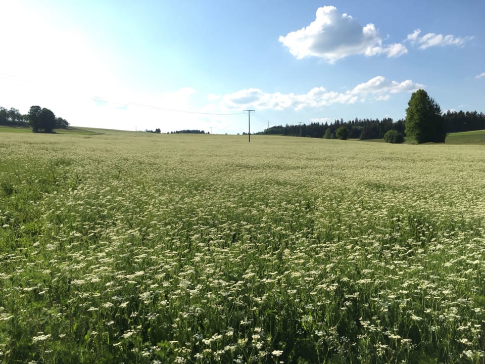 Ausblick Gästehaus Frankenwaldhof