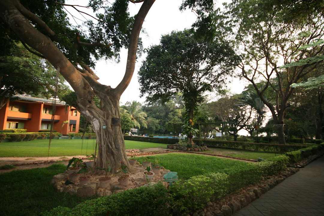 Garten Miridiya Lake Resort