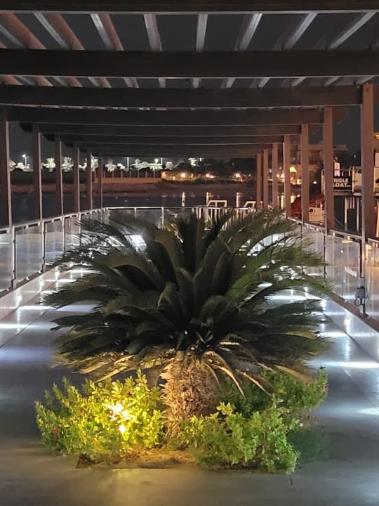 Außenansicht DoubleTree by Hilton Resort & Spa Marjan Island