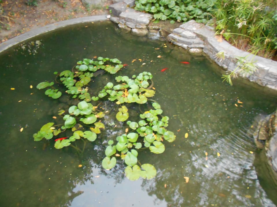 Kleiner Teisch am Eingang Asteria Collection Side