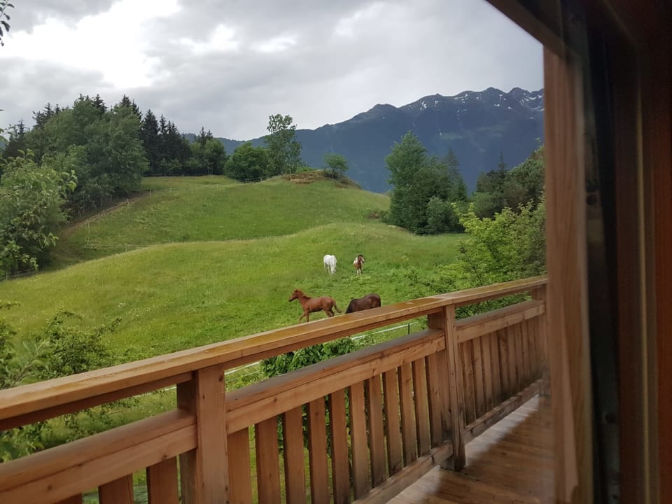 Ausblick Ferienhof Haderlehn