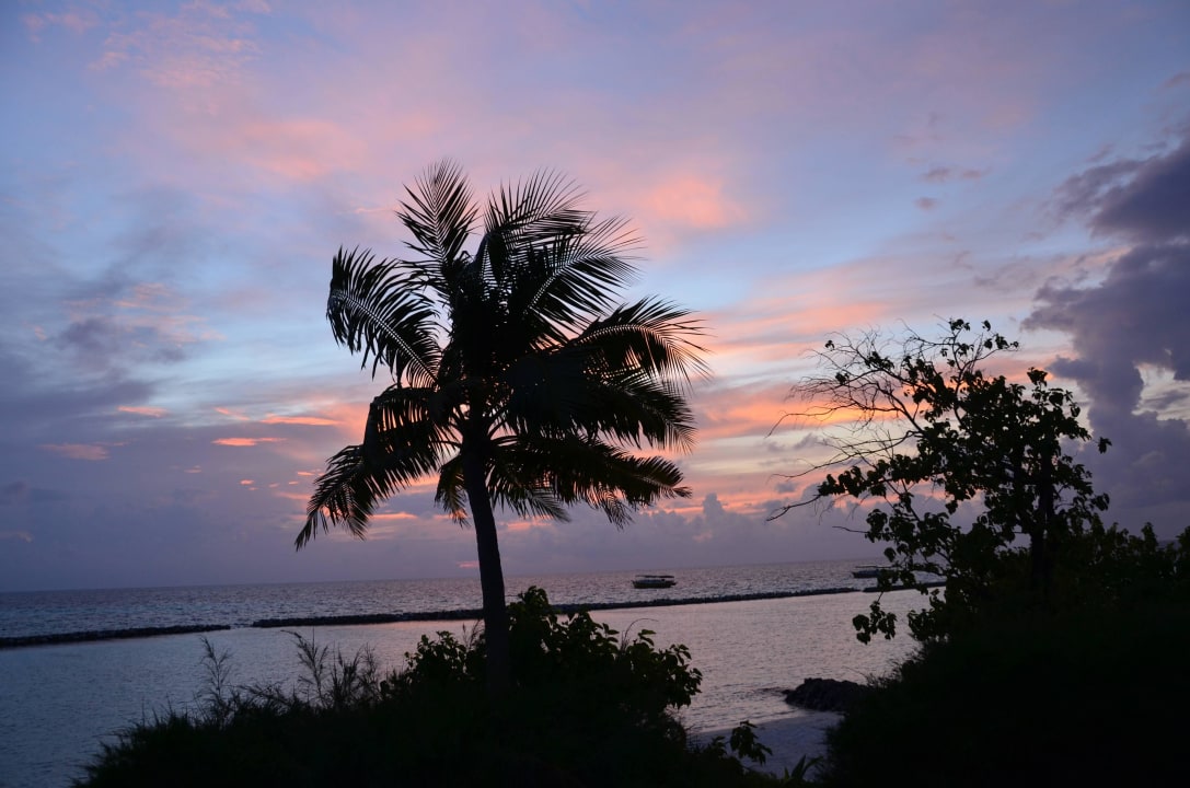 Sonnenaufgang Zimmer 269 Summer Island Maldives