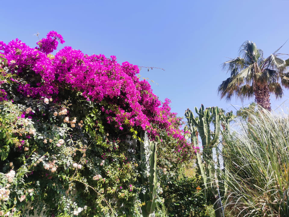 Ausblick Very Chic Bodrum Adult Only