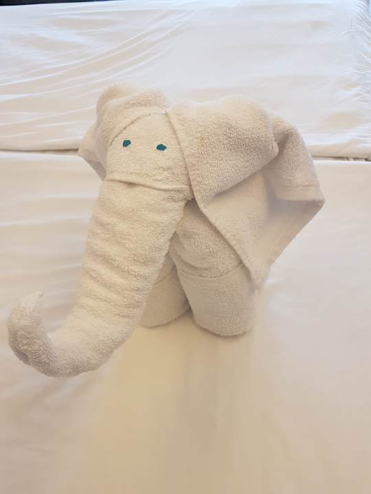 Zimmer Thaala Bentota