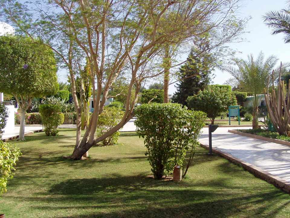Garten Ghazala Beach