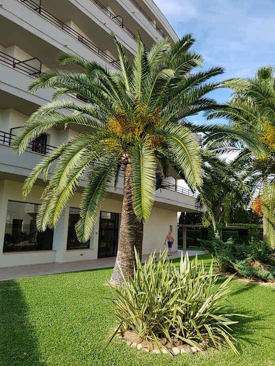 Außenansicht allsun App.-Hotel Orient Beach