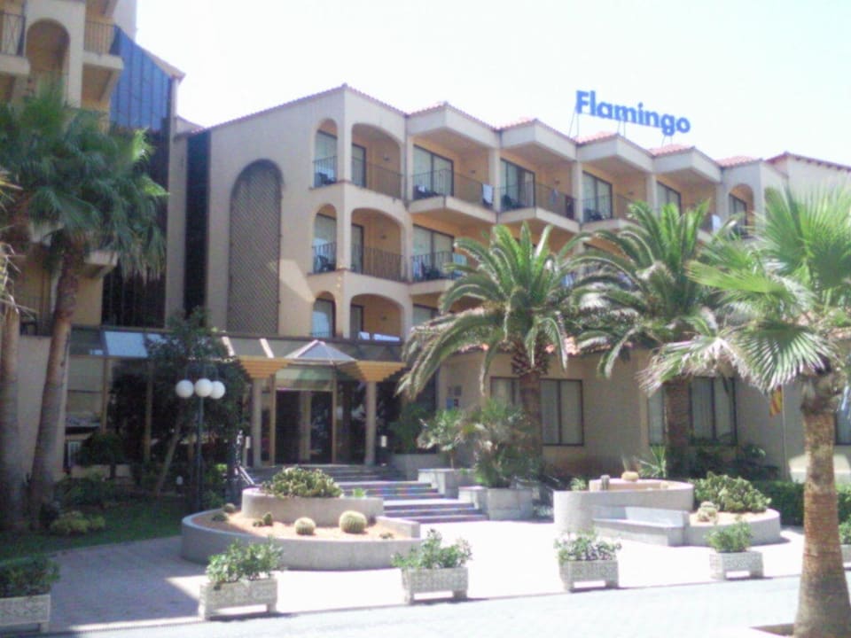 Super schön! Myseahouse Flamingo - Adults only