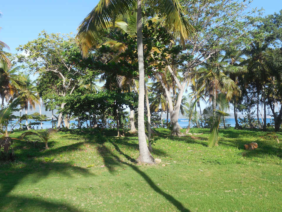 Strandblick Wyndham Alltra Samana
