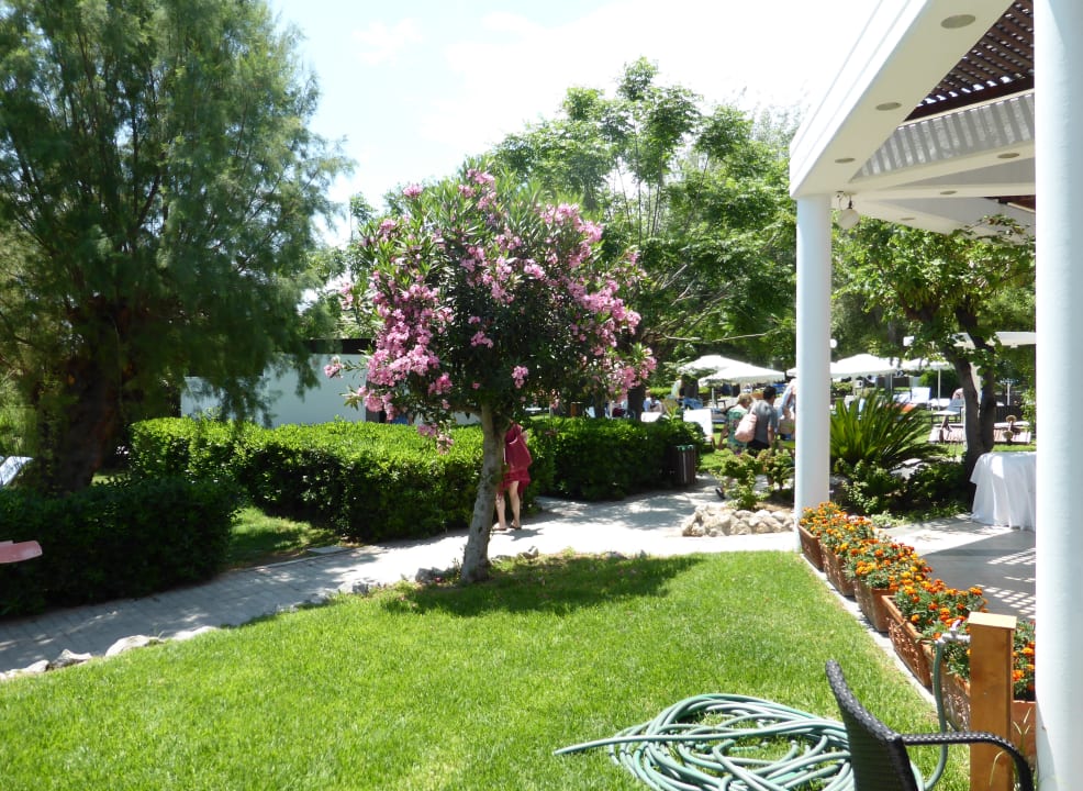 Gartenanlage Hotel Calypso Beach