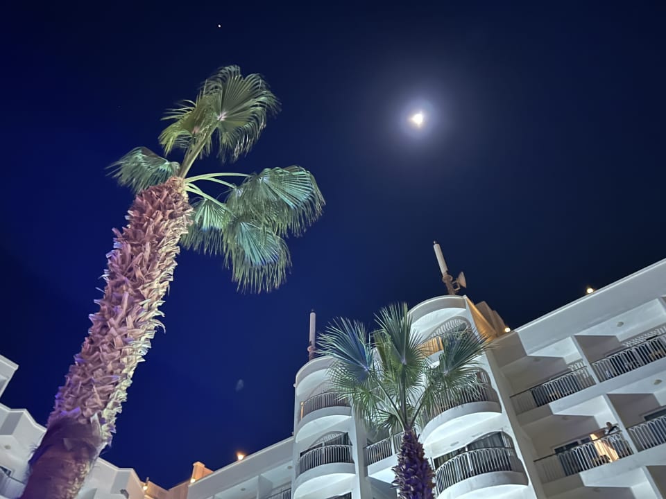 Ausblick Royal Star Beach Resort