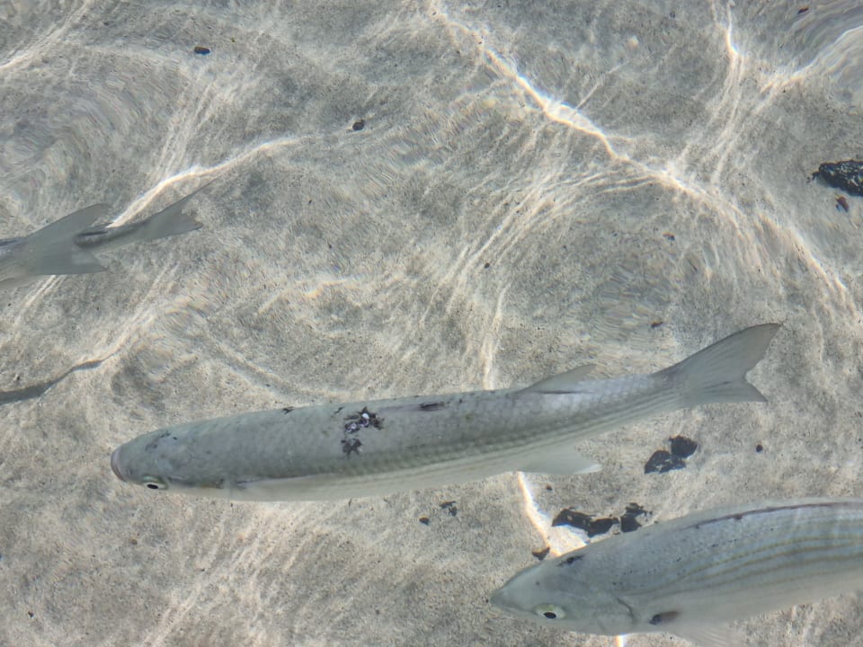 Strand Hotel Grand Teguise Playa