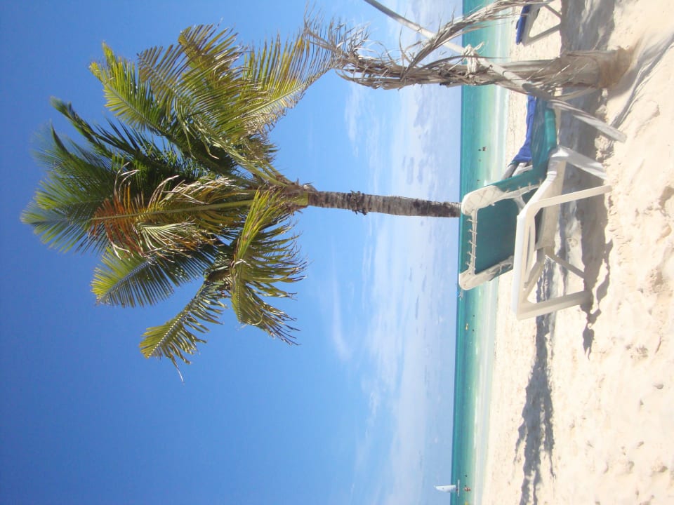 Hotel Catalonia Playa Maroma Catalonia Playa Maroma