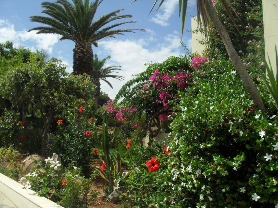 Gartenanlage Lyttos Beach Hotel