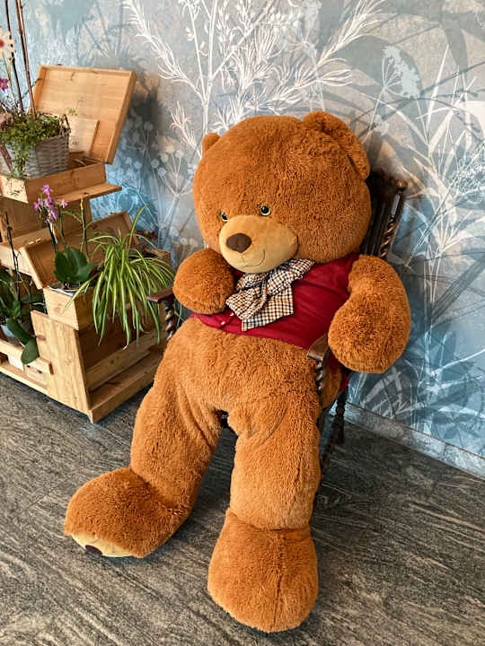 Lobby Best Western Plus Hotel Erb