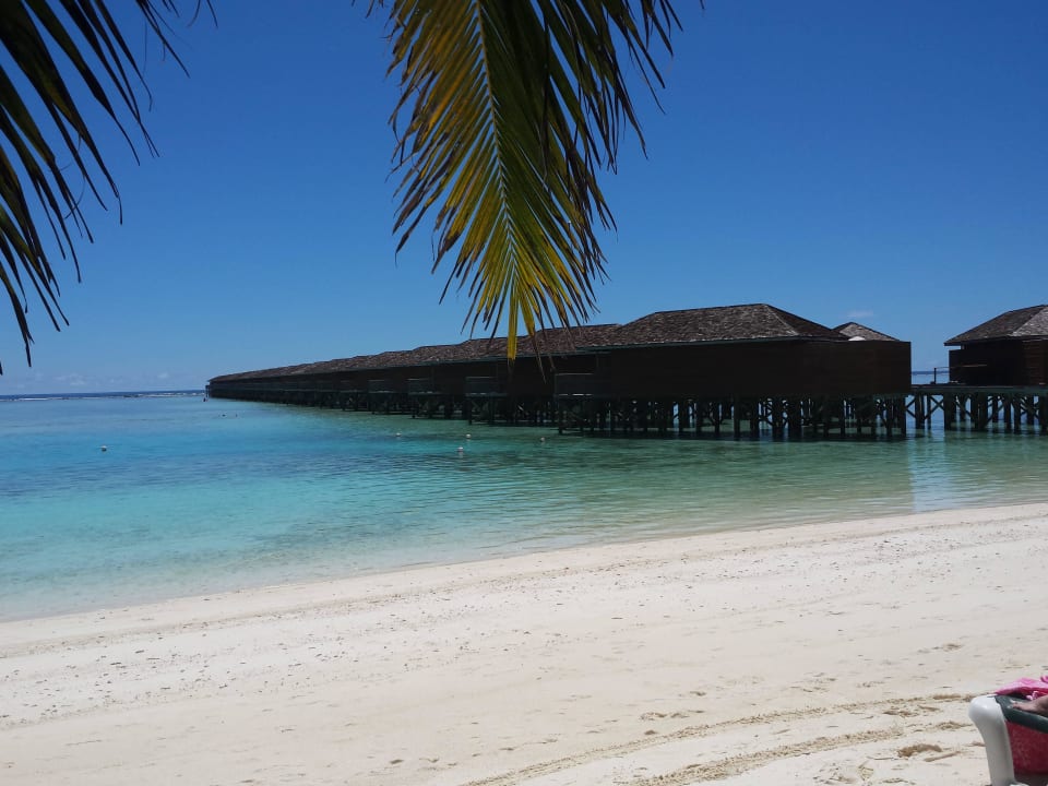 Blick auf die Villen Meeru Maldives Resort Island