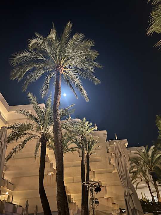 Gartenanlage allsun Hotel Bella Paguera