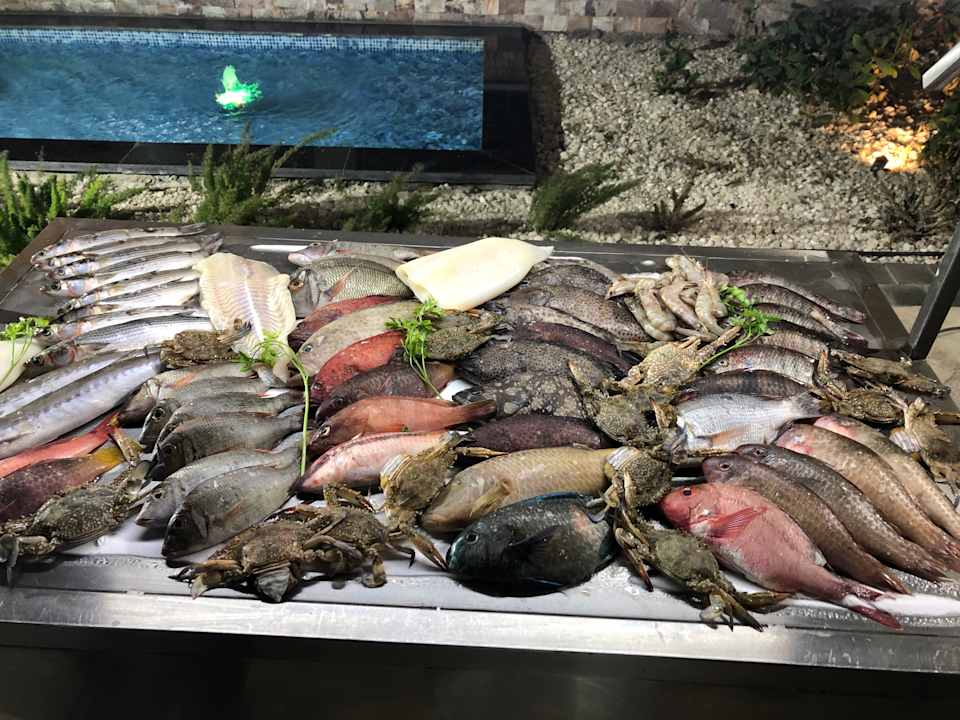 Gastro Pickalbatros Aqua Vista Resort - Hurghada