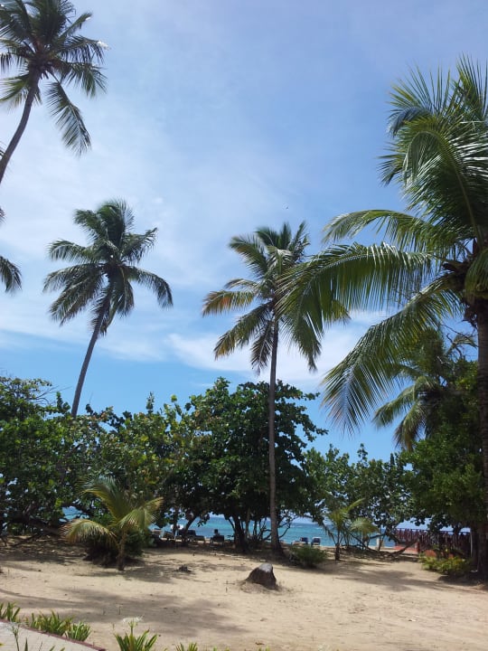 Auf dem Weg zum Strand  Bahia Principe Grand El Portillo