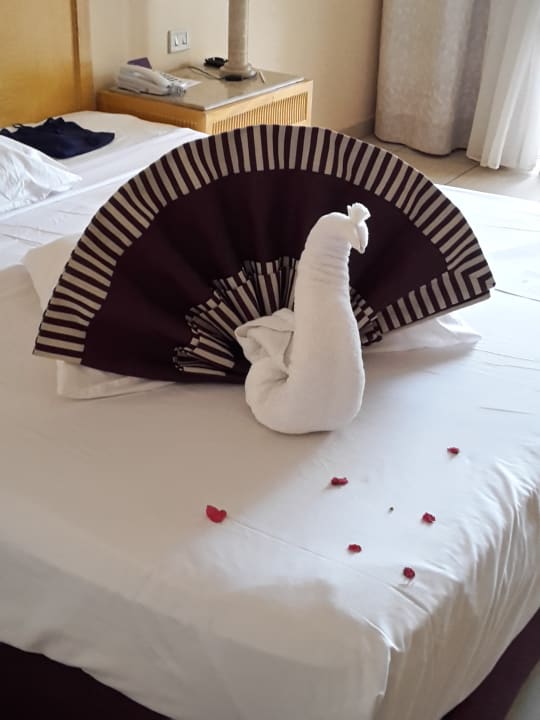 Zimmer Hotel JAZ Makadi Star & Spa