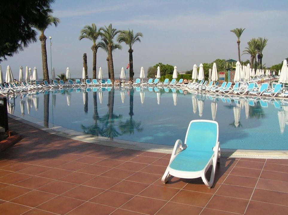 Stilleben PALOMA Perissia