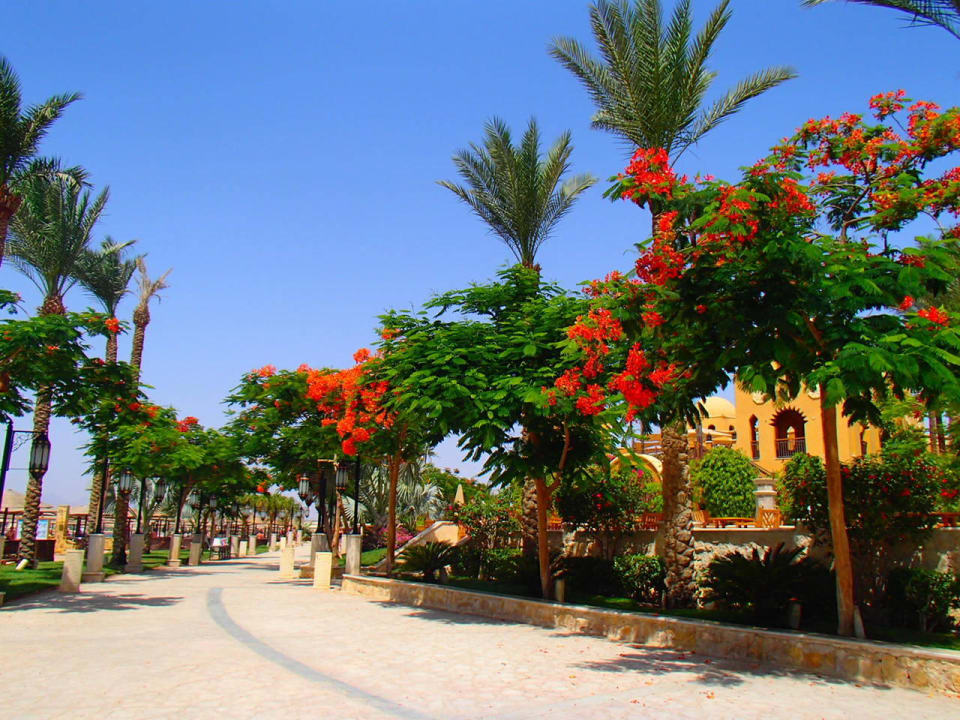 Променад Grand Waterworld Makadi & Family Star Makadi