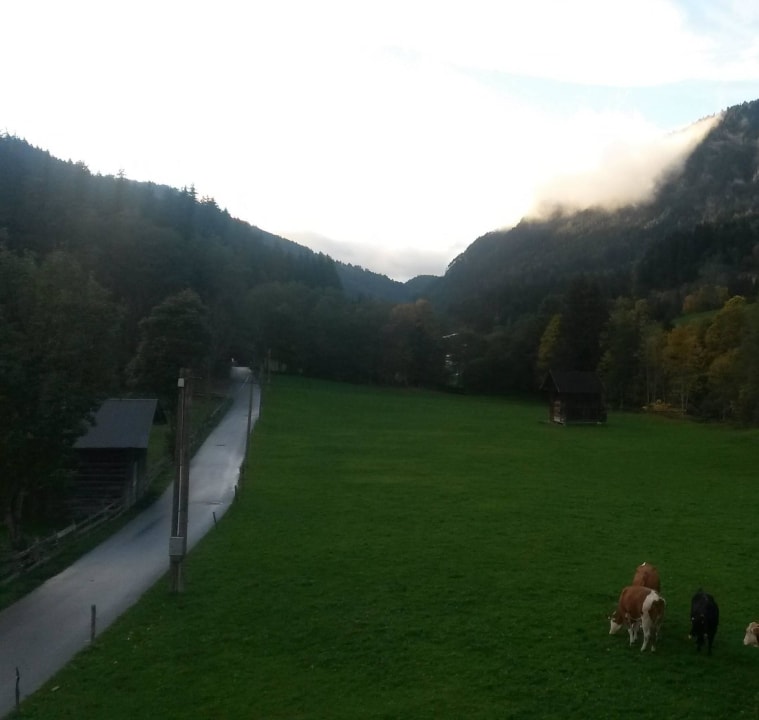Ausblick Richtung Kundler Klamm Pension Waidmannsruh